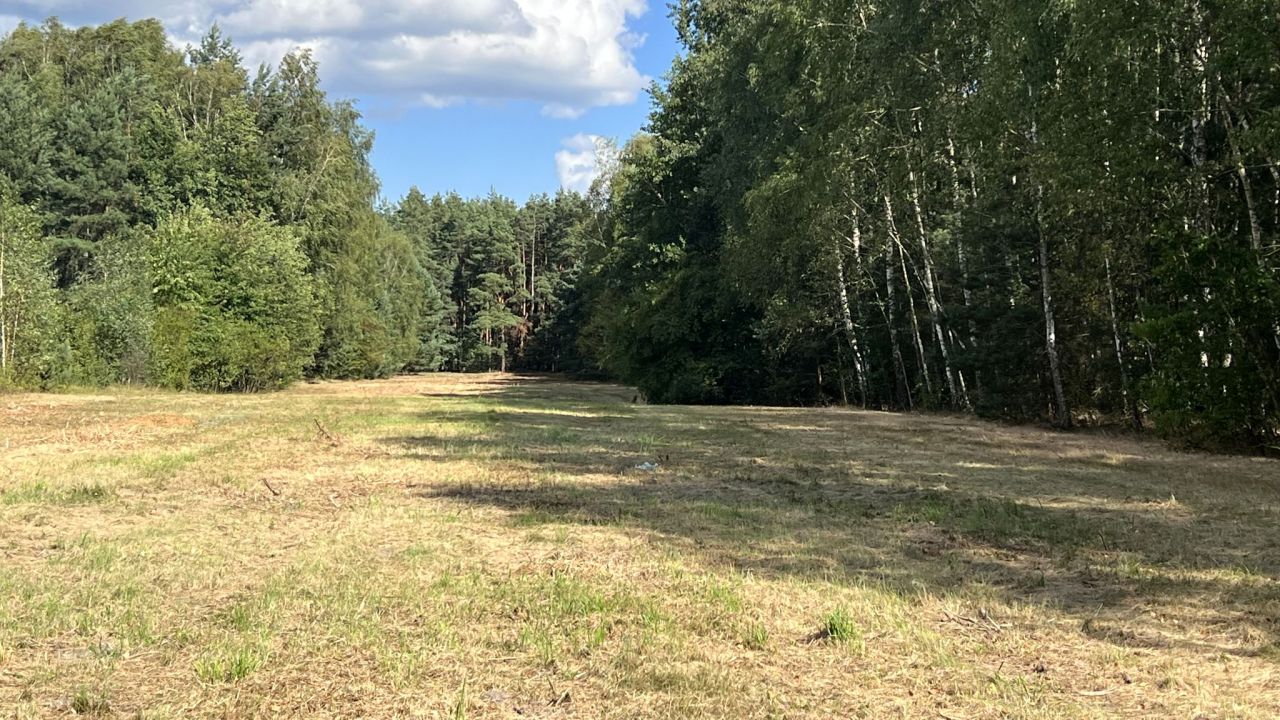 Działka rekreacyjna Mirowice, ul. Sarenki. Zdjęcie 5