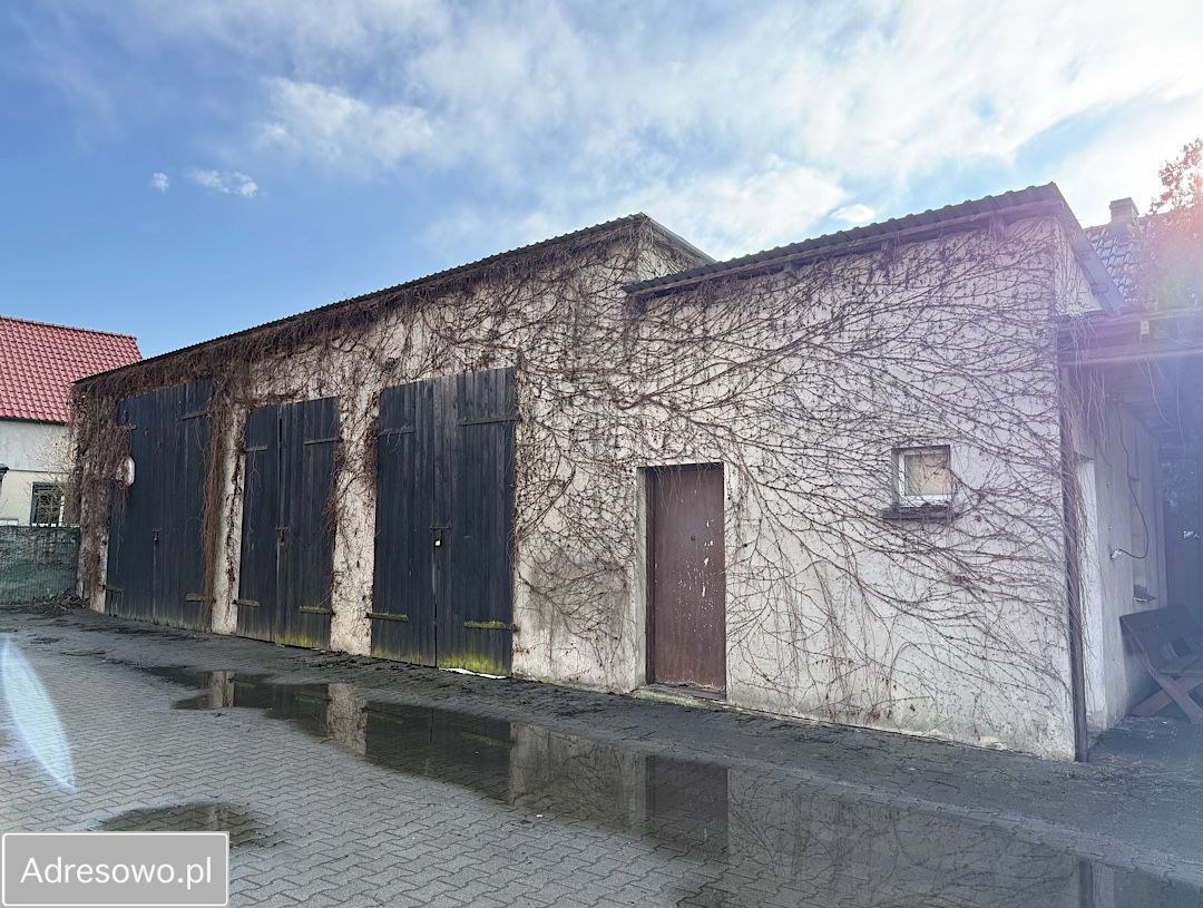 gospodarstwo, 10 pokoi Bychowo. Zdjęcie 4