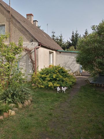 dom wolnostojący, 3 pokoje Przyborów, ul. Leśna. Zdjęcie 1