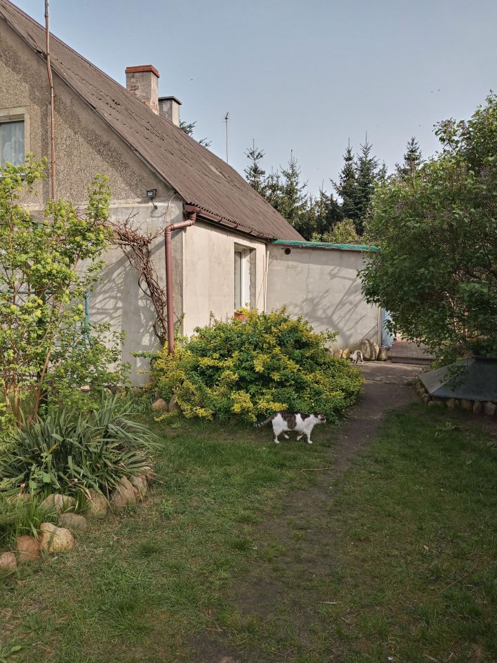 dom wolnostojący, 3 pokoje Przyborów, ul. Leśna