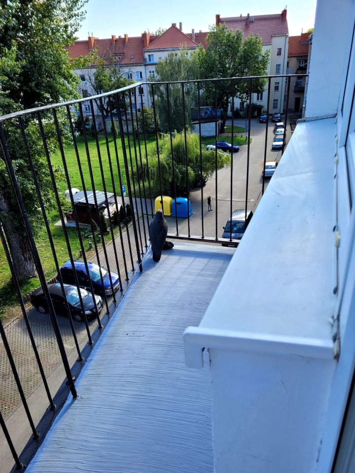 Mieszkanie 1-pokojowe Głogów, ul. Przemysłowa. Zdjęcie 11