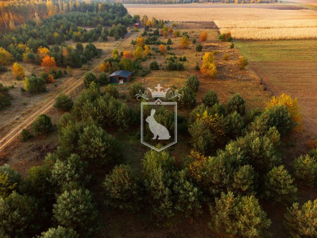 Działka budowlana Gnojno. Zdjęcie 7