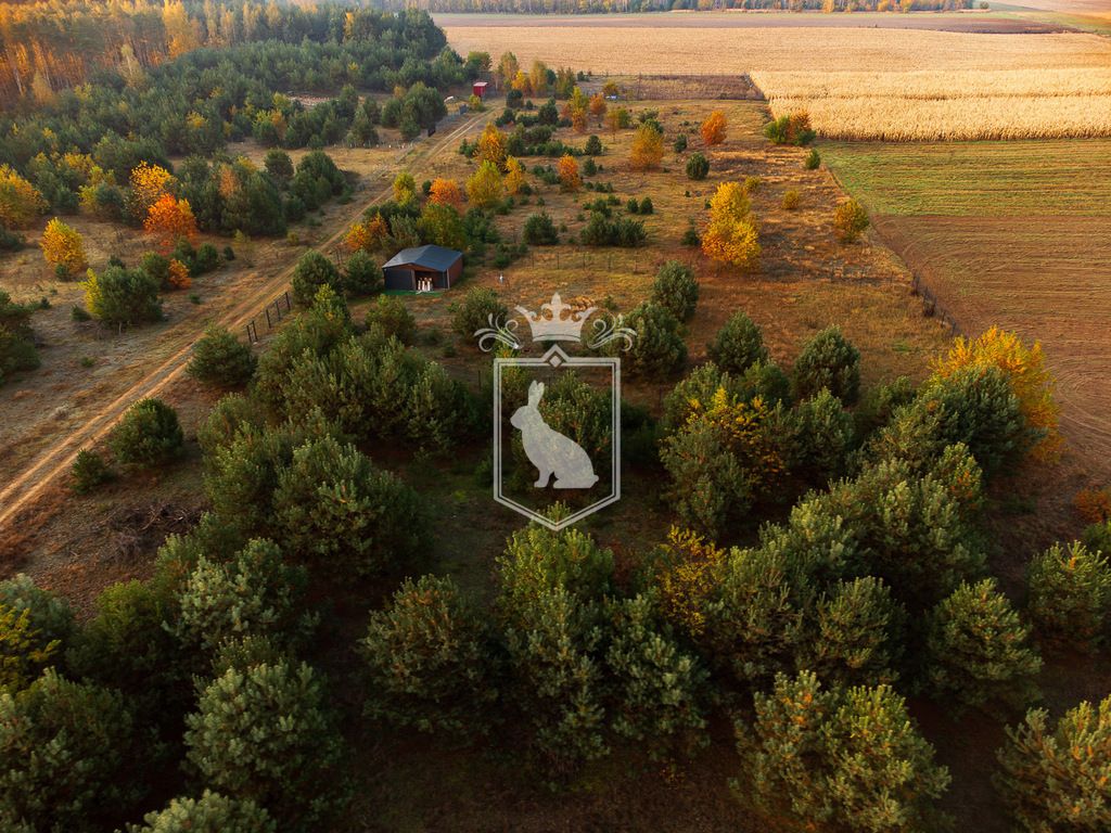 Działka budowlana Gnojno. Zdjęcie 7