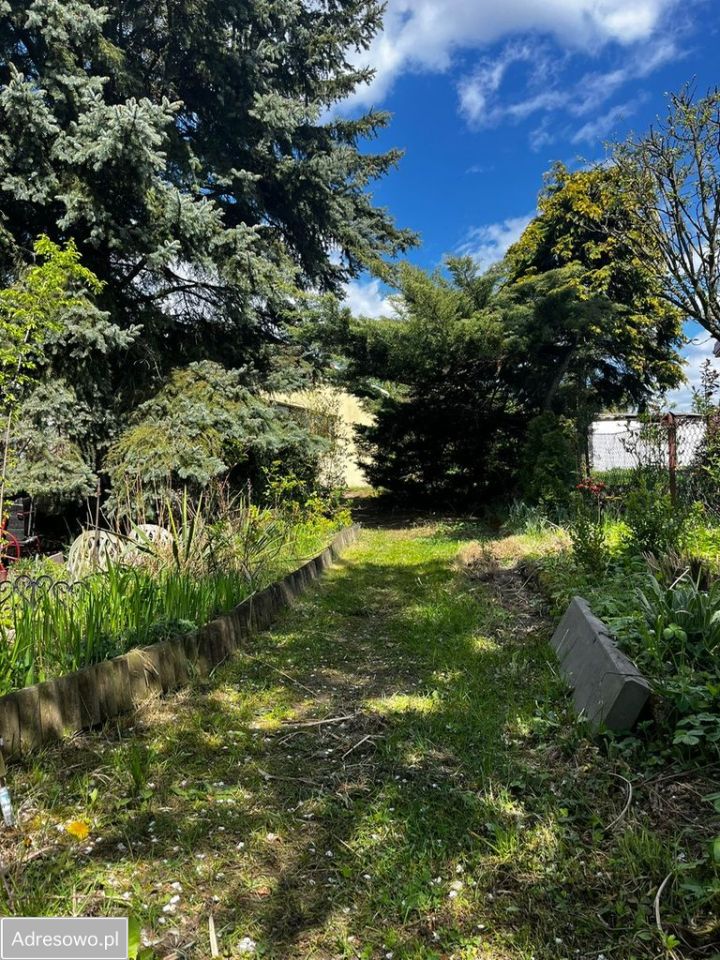 Działka rod Suchy Las. Zdjęcie 13