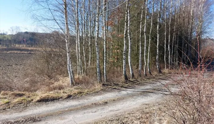 Działka budowlana Przesławice