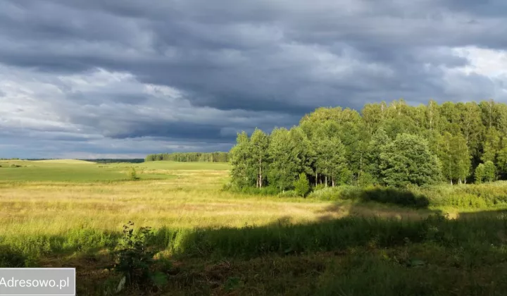 Działka rolna Pajtuny