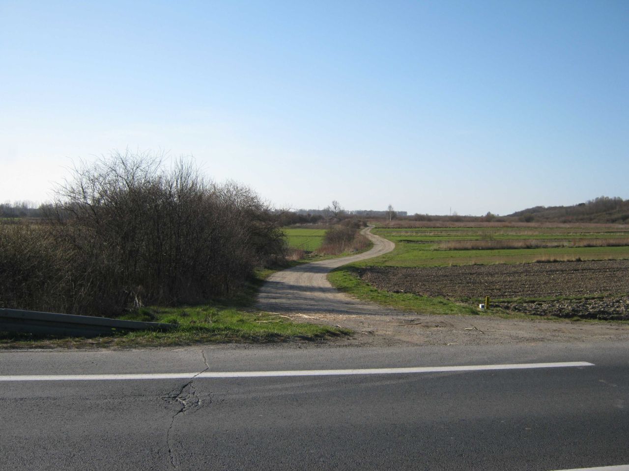 Działka rolna Zarzecze. Zdjęcie 4