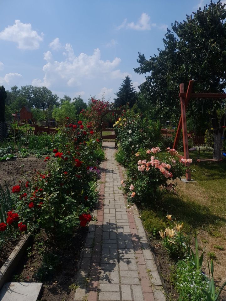 Działka rod Grodzisk Wielkopolski, ul. Działkowa. Zdjęcie 7