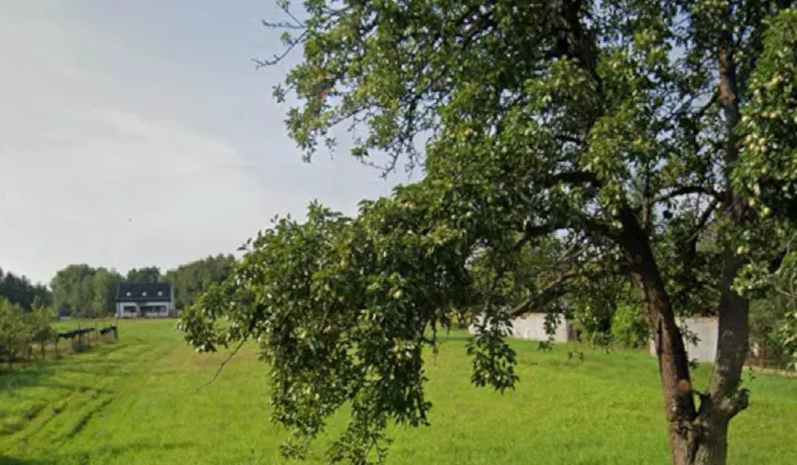 Działka budowlana Jastrzębie, ul. Ptaków Leśnych