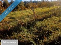 Działka inwestycyjna Albigowa. Zdjęcie 3