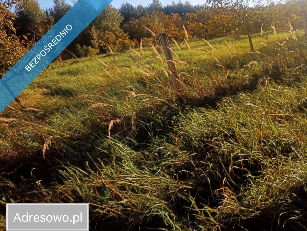 Działka inwestycyjna Albigowa. Zdjęcie 4