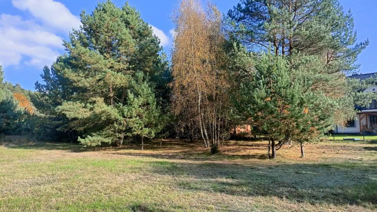 Działka budowlana Czarne Błoto. Zdjęcie 6