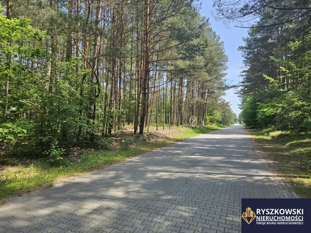 Działka budowlana Trzepieciny. Zdjęcie 7