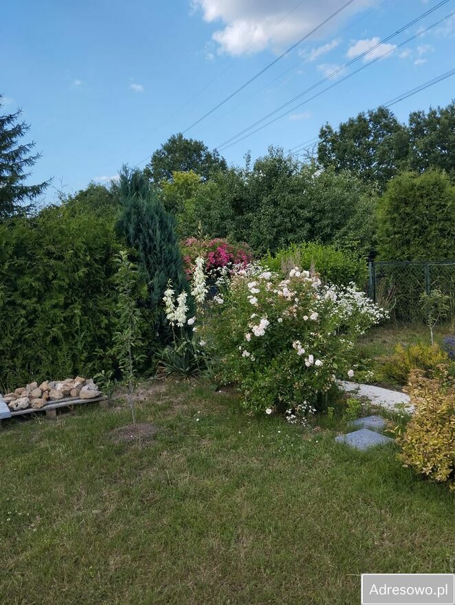 Działka rod Bytom Stolarzowice, ul. Paczyńska. Zdjęcie 4