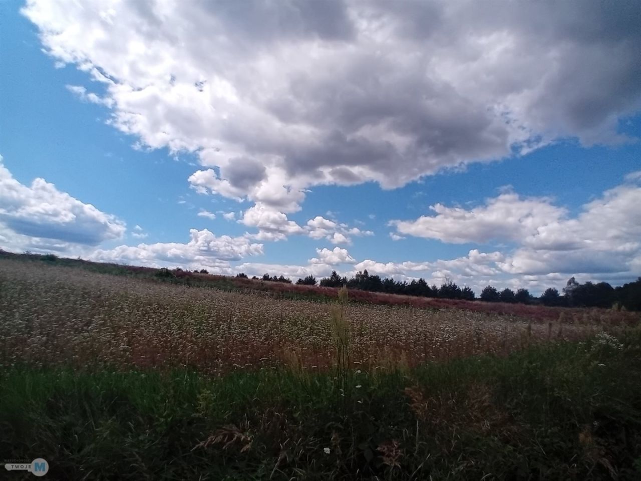 Działka inwestycyjna Belno. Zdjęcie 8