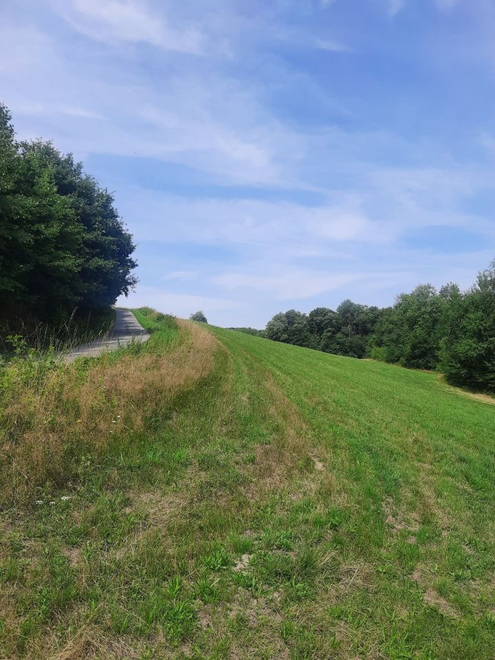 Działka rolno-budowlana Jastrzębia. Zdjęcie 6