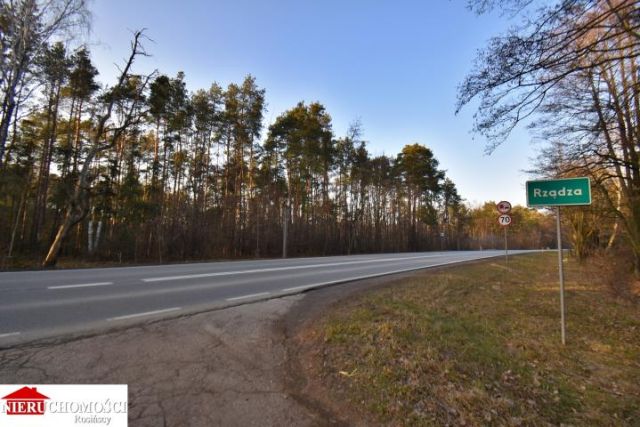 Działka leśna Stanisławów. Zdjęcie 10