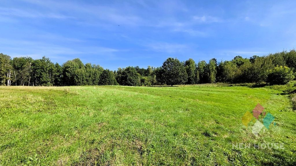 Działka Biskupiec. Zdjęcie 2