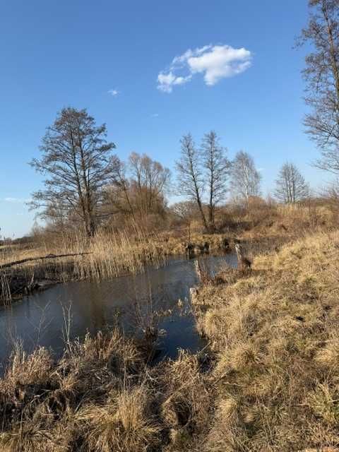 Działka rolna Brzuza. Zdjęcie 2