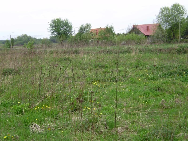 Działka rolna Borzęcin Duży