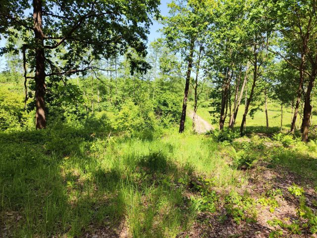 Działka budowlana Sobibór. Zdjęcie 1