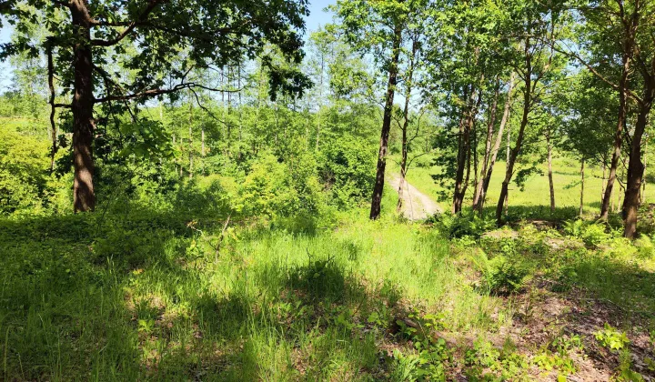 Działka budowlana Sobibór