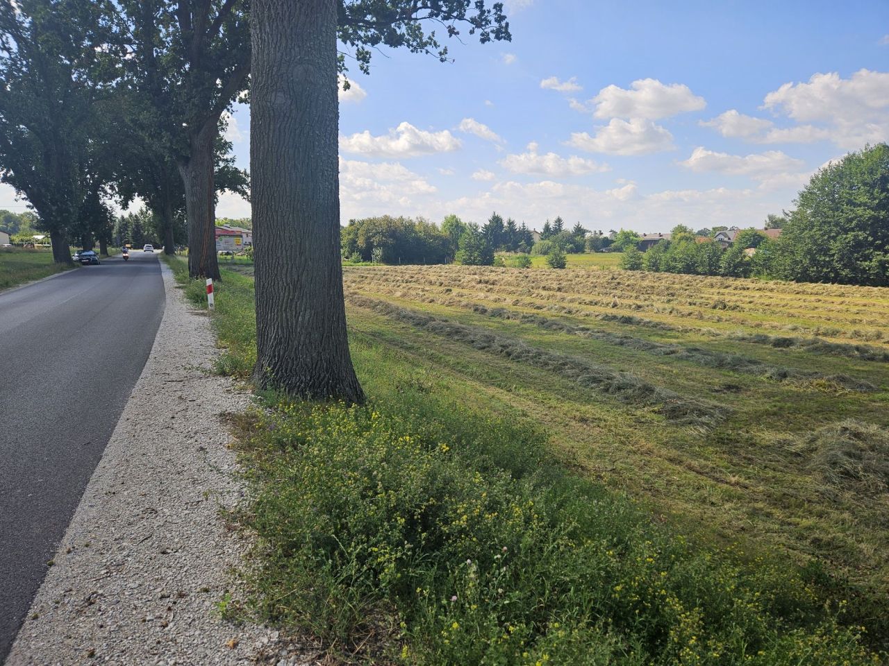 Działka rolna Runowo Krajeńskie. Zdjęcie 7