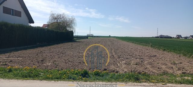 Działka budowlana Turowola-Kolonia. Zdjęcie 3