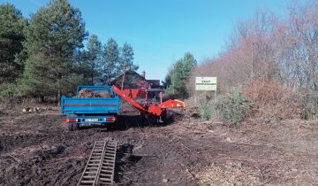 Działka budowlana Miłoszyce, ul. Harcerska