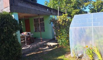 Działka rod Ciechanów