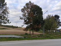 Działka rolno-budowlana Łubcze. Zdjęcie 2