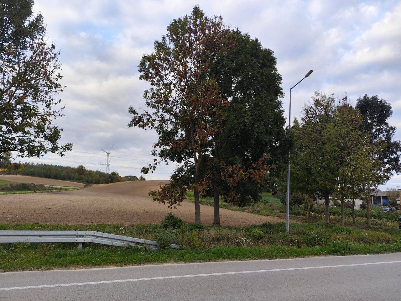 Działka rolno-budowlana Łubcze. Zdjęcie 3