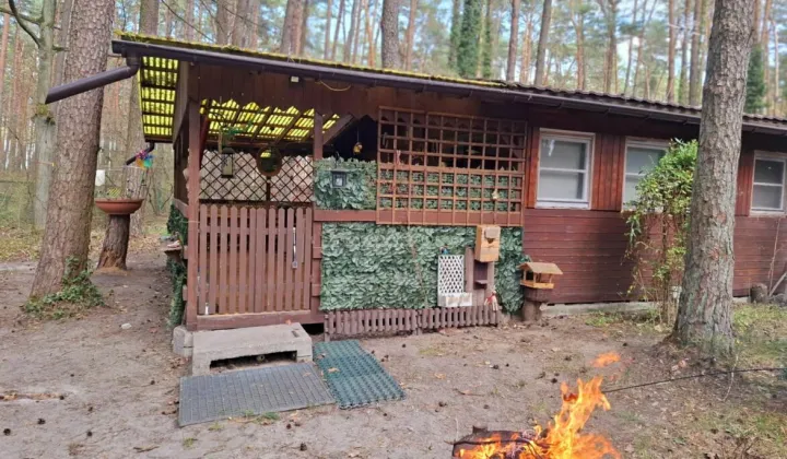 dom letniskowy Barcice