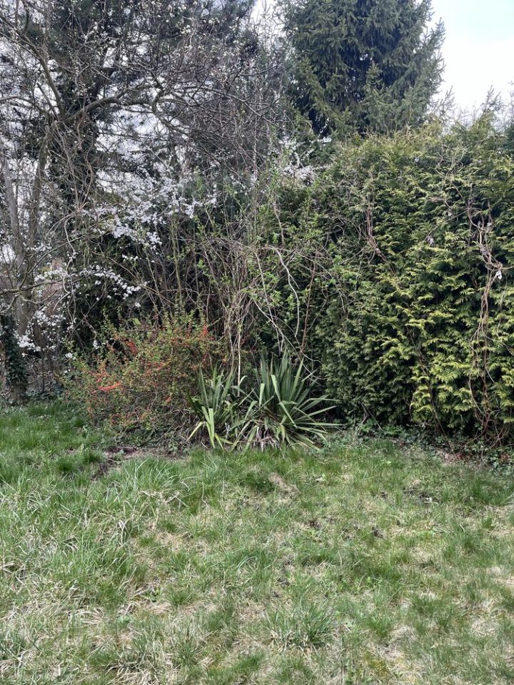 Działka rod Sosnowiec Niwka. Zdjęcie 5