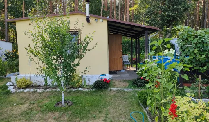 Działka rod Zielona Góra