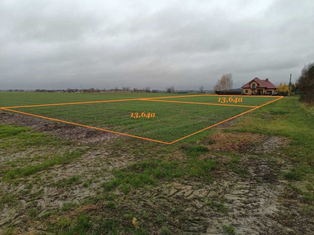 Działka budowlana Dąbie. Zdjęcie 1