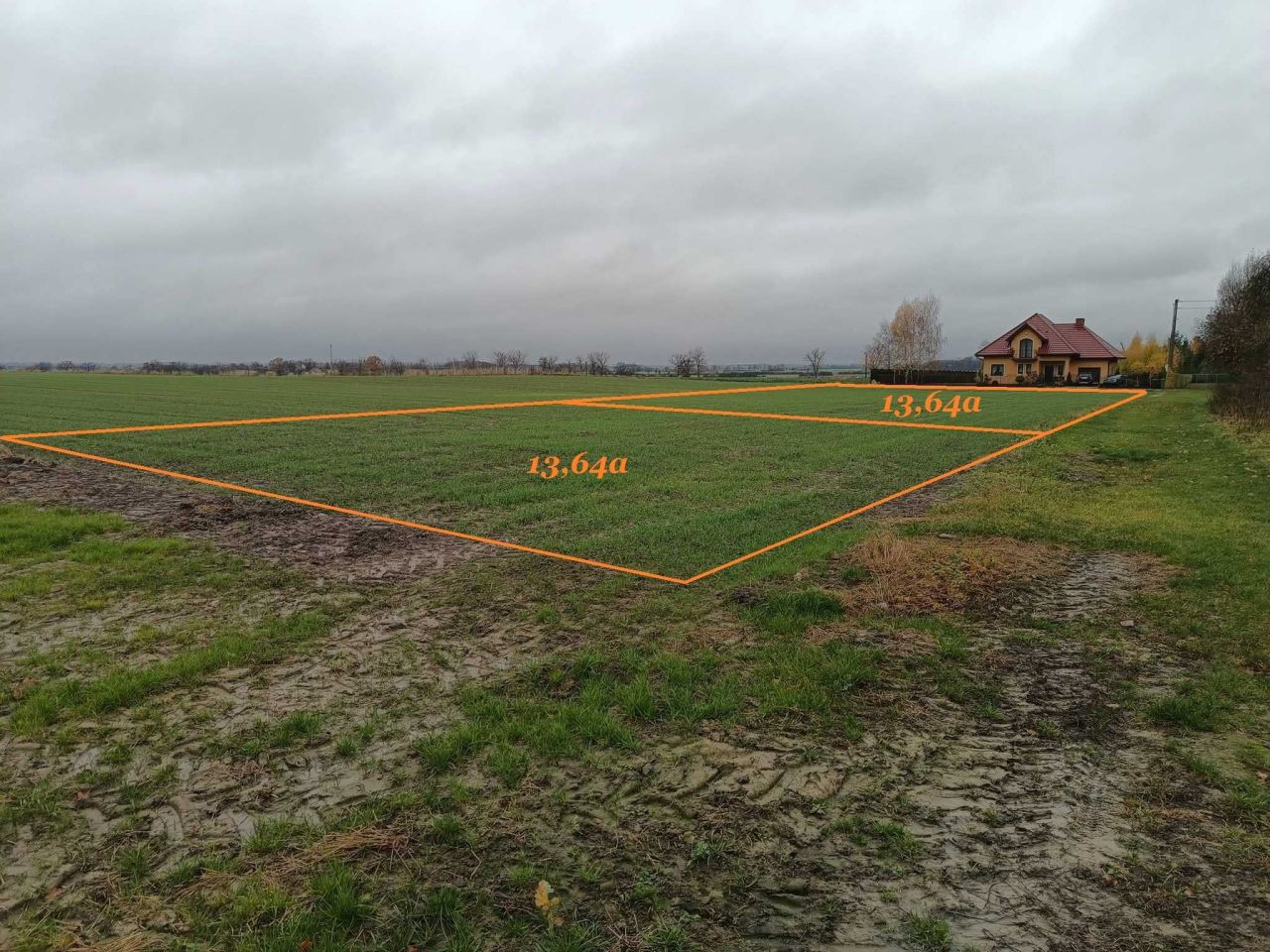 Działka budowlana Dąbie. Zdjęcie 1