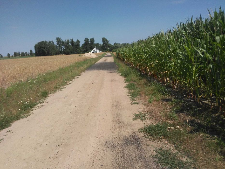 Działka budowlana Wielkie Pułkowo. Zdjęcie 3