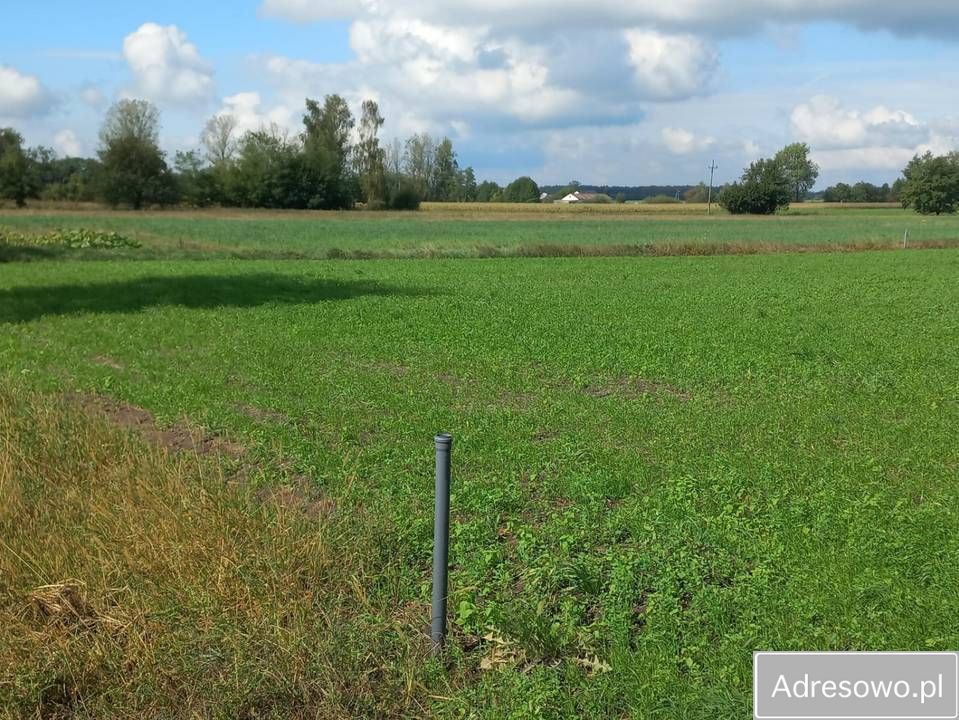 Działka budowlana Ignacew Folwarczny. Zdjęcie 7