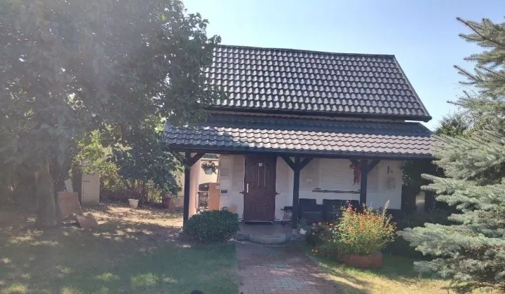 Działka rod Gryfino, ul. Armii Krajowej