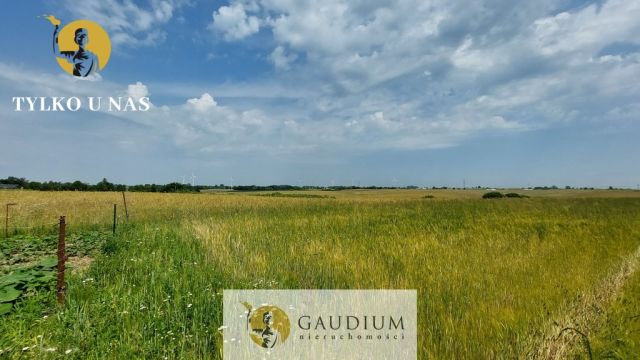 Działka inwestycyjna Sztum. Zdjęcie 5