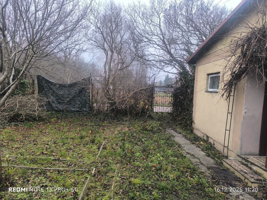 Działka rod Żyrardów, ul. Wypoczynkowa. Zdjęcie 2