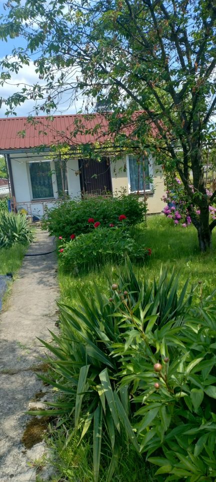 Działka rod Zaborze Borowiec, ul. Tatarska Grobel. Zdjęcie 7