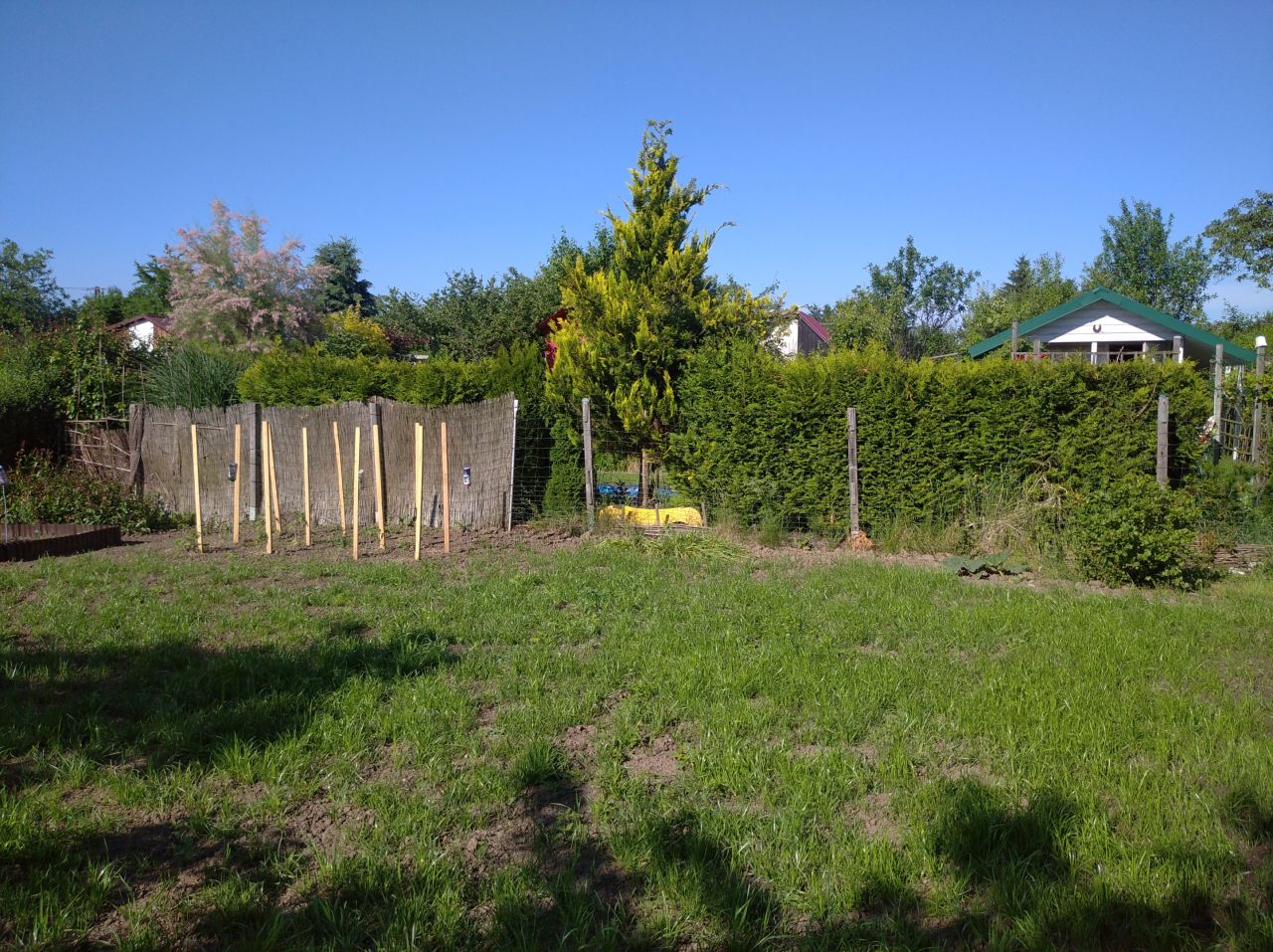 Działka rod Rzeszów Zalesie, al. Wyzwolenia. Zdjęcie 10