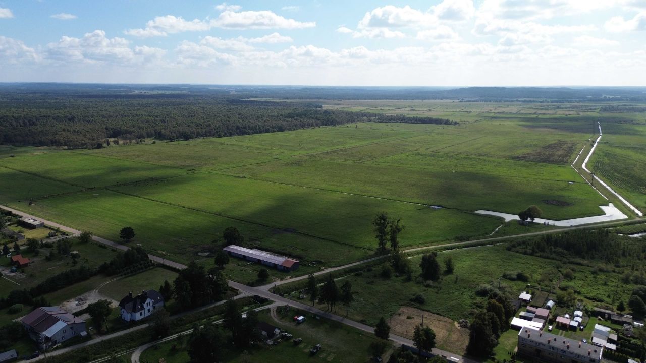 Działka rolno-budowlana Łokciowe. Zdjęcie 8