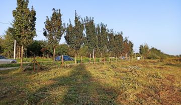 Działka budowlana Warszawa Wawer, ul. Skalnicowa