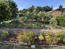 Działka rod Szczecin Pogodno, ul. Jana Kochanowskiego. Zdjęcie 2