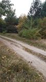 Działka rekreacyjna Żarnów. Zdjęcie 2