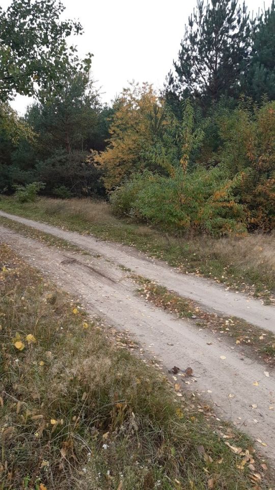 Działka rekreacyjna Żarnów. Zdjęcie 3