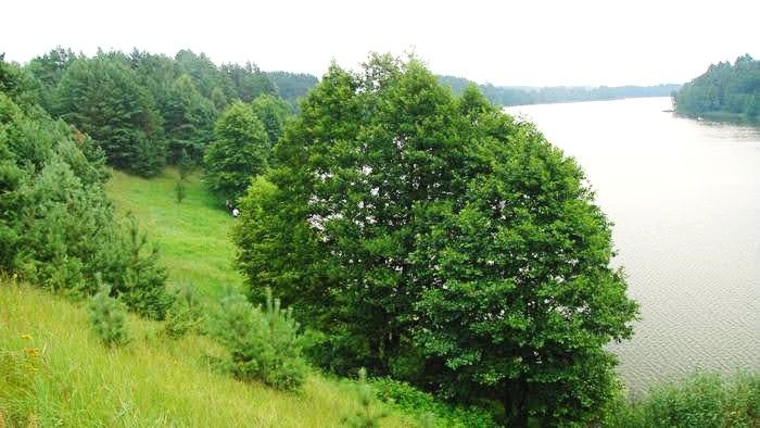 Działka rolna Rabalina. Zdjęcie 4